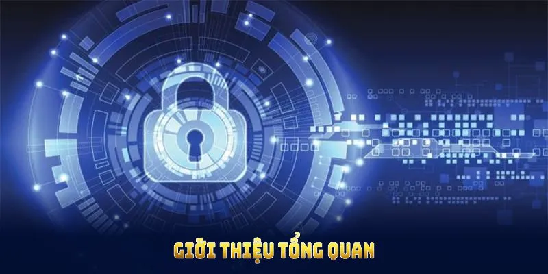 Tổng quan về chính sách bảo mật
